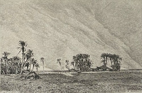 Simoun nach eugène fromentin - simoun,