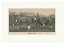Herrn A. Friedhelms Victoria Wagenpferde Kutsche Sport Fuhrwerk F_Vintage 00589