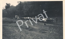 Foto WK II Soldaten, 22 Ochsen ziehen LKW im Schlamm Bessarabien Moldawien H1.28