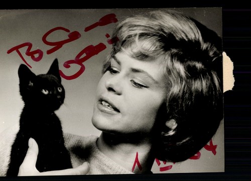 Barbara klein foto - klein,