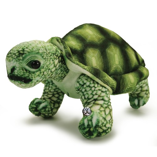 Schildkröte landschildkröte - schildkröte,
