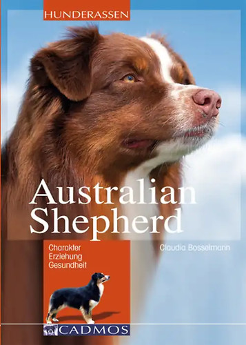 Australian shepherd - australian,