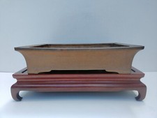 1981 Bonsai Baum Topf Tokoname