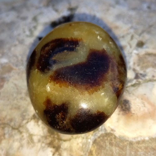 Grosse septarie madagaskar - grosse,