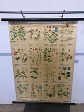 Schulkarte lehrtafel lehrkarte - lehrtafel,