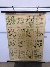 SCHULKARTE LEHRTAFEL LEHRKARTE