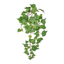 Künstlicher Efeu Engl