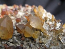 Zepterquarz xx - Zillergrund, Zillertal, Österreich