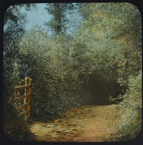 Foto devonshire lane near - devonshire,