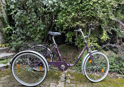 Gebrauchtes fahrrad - gebrauchtes,