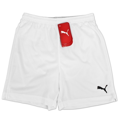 Puma vencida cat - puma,