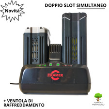 Neues Ladegerät 82V