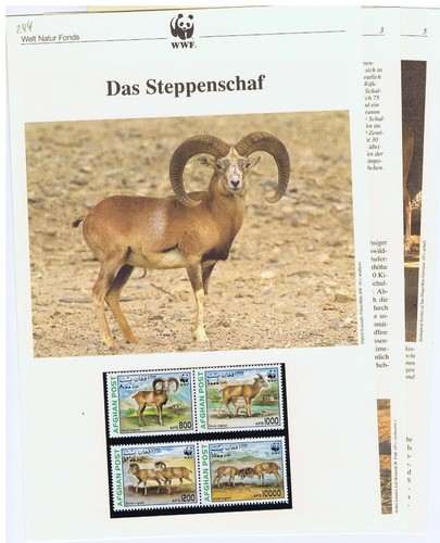 Wwf 1998 afghanistan das - wwf,