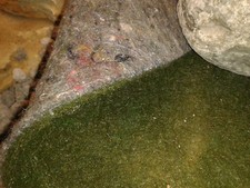 Moos Teppich Vlies Matte grün