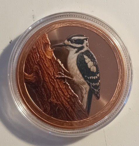 Kupfermedaille 1oz 999 - kupfermedaille, "