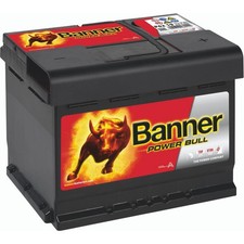 Banner power bull - power, p6219