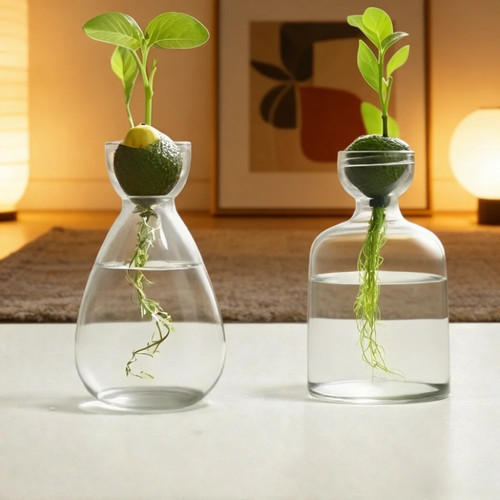 Hydrokultur vase glas - hydrokultur-vase,