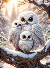 Eule Malen Nach Zahlen Kinder ab 5 6 7 8 9 10 Jahre Mädchen