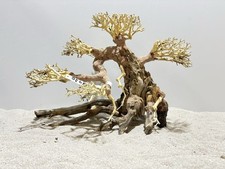 Aquariumwurzel, Bonsai