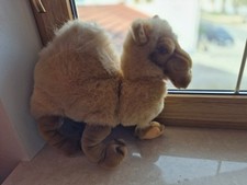 STEIFF  Molly Dromedar 104091 mit Knopf und Brustschild