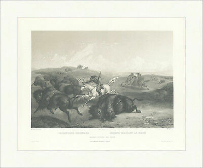 Indianische bisonjagd hunting - indianische,