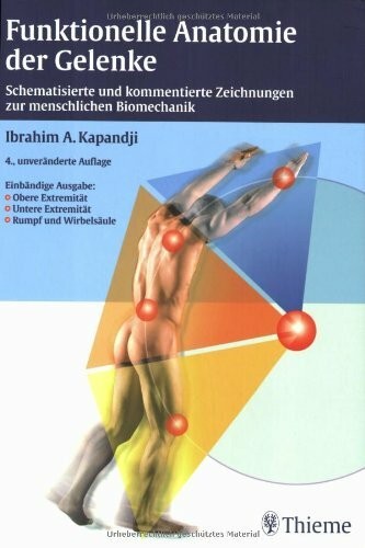 Funktionelle anatomie der - anatomie,