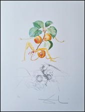 SALVADOR DALI * Flordali * 65 x 50 cm*  signed lithograph * limited # 90/1000