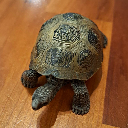 Schleich schildkröte - schleich,