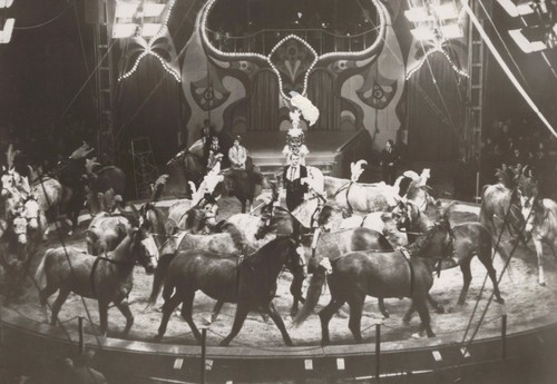 Ddr echtfoto staatszirkus - ddr,
