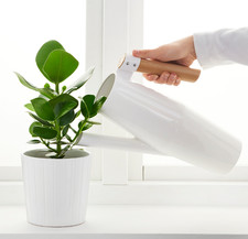 IKEA BITTERGURKA Gießkanne