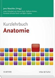 Kurzlehrbuch anatomie - kurzlehrbuch,
