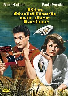 Ein goldfisch der leine - leine, von