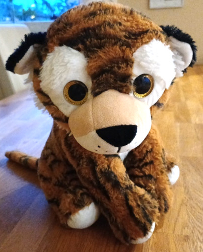 Tiger mit glubschaugen - tiger,