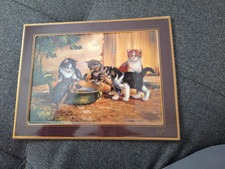 Porzellanbild "Katzen mit Igel" Siegmar Jugelt BRADEX - Limitiert auf 39.000 Stk