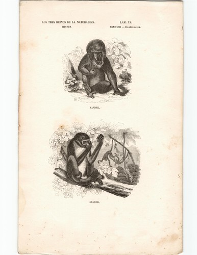 Antike lithographie grafik - antike,