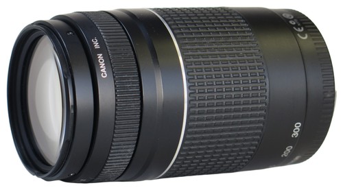 Canon 300 4 - ef, mm