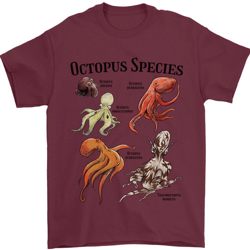 Octopus species sealife scuba - octopus,