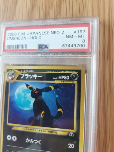 Umbreon nachtara neo - umbreon/nachtara,