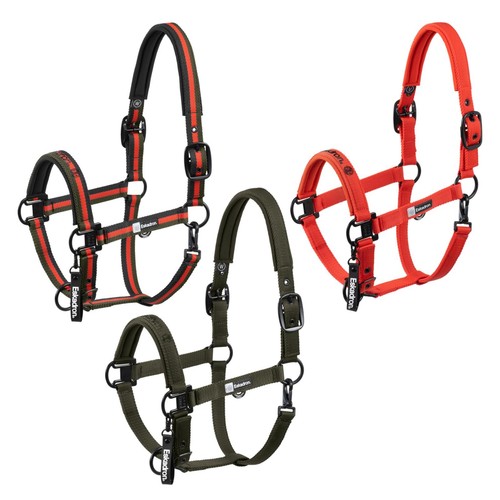 Eskadron dynamic halfter mit - eskadron,