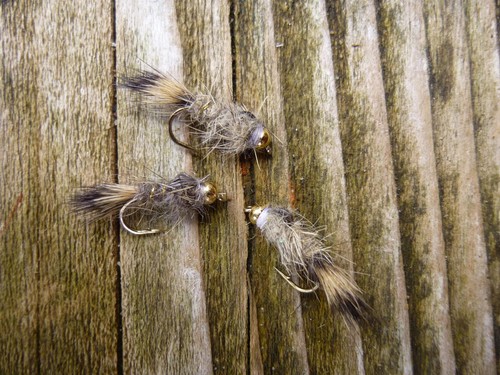 4st goldkopf hare ear - goldkopf, hare`s
