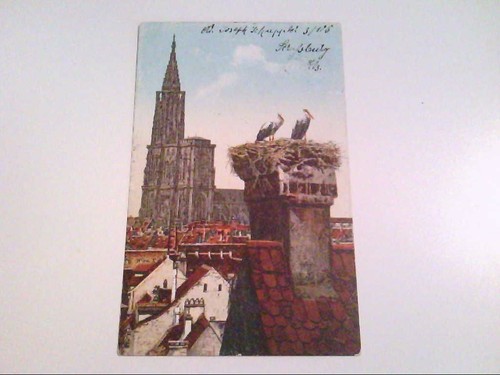 Strassburg storchennest ak - storchennest., ak.