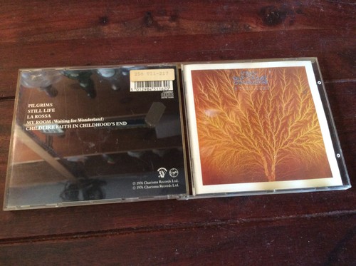 Van der graaf generator - van,