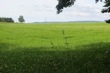 Foto 6x4 Heu oder Silage Ernte