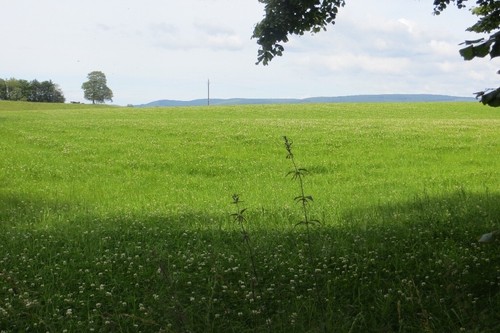 Foto 6x4 heu - foto, silage