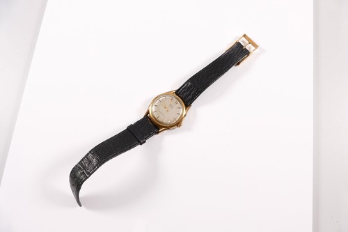 Berg parat acurrex herren - berg, herren-