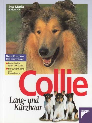 Collie kurz und - collie, kurz-