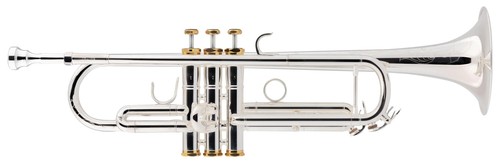 Jazz trompete versilbert - bb,