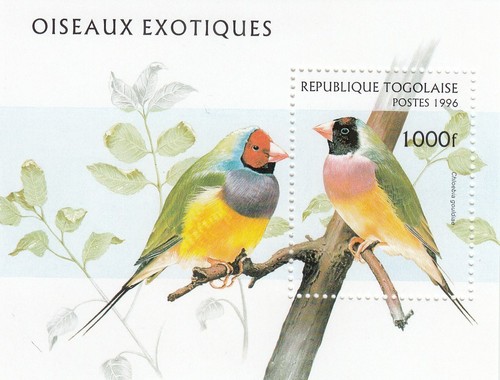 4008 togo block mnh fauna - block,