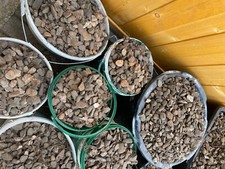 kieselsteine garten Zu Verschenken