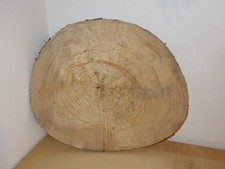 Baumscheibe für eine